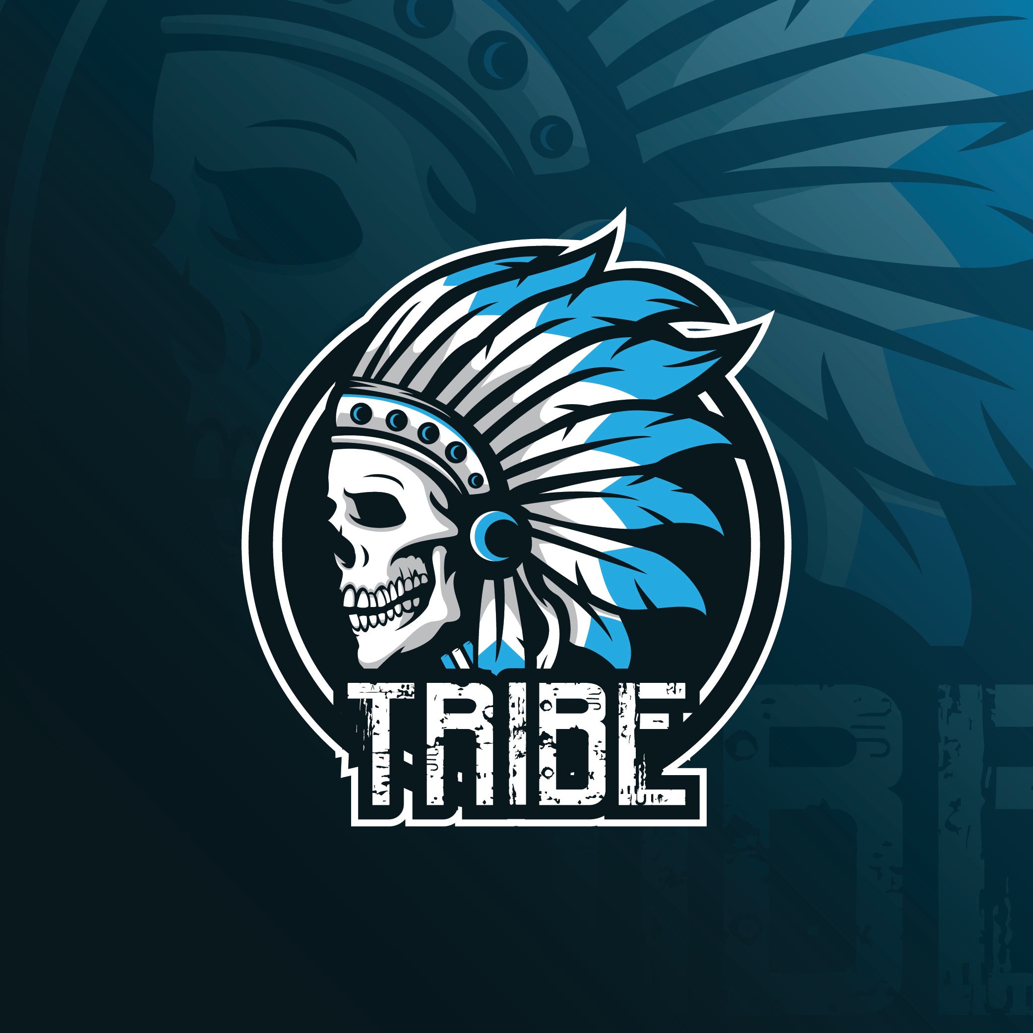 Garden State Tribe Football – Superior Athlete
